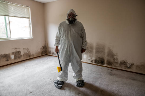 Best Post-Flood Mold Remediation in Anacortes, WA